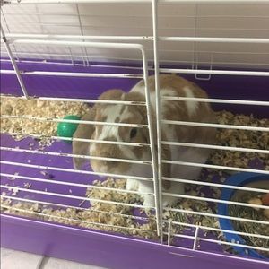 Meet your Posher, Shay